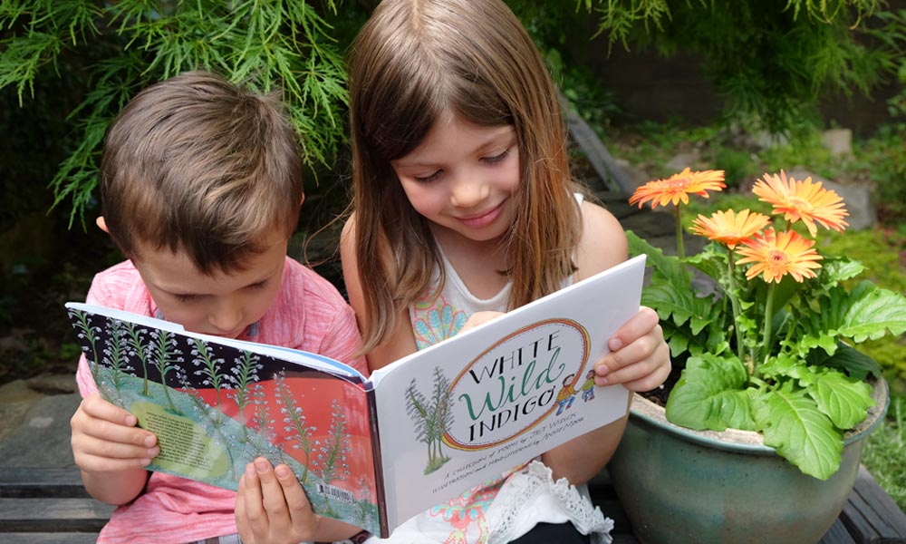 children's illustrated book layout design